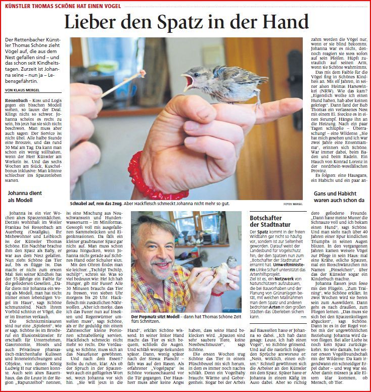 Bericht über mich und meinen kleinen SpatzJohanna-Bericht
