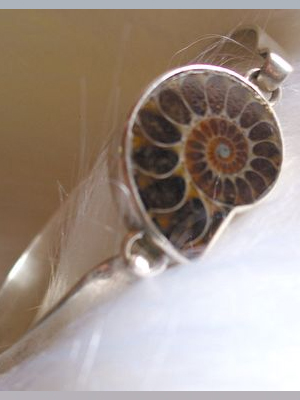 Ammonit-Armreif