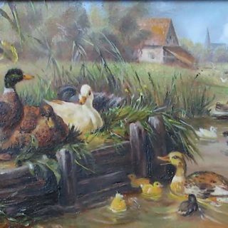 Tiere: „Enten am Weiher“