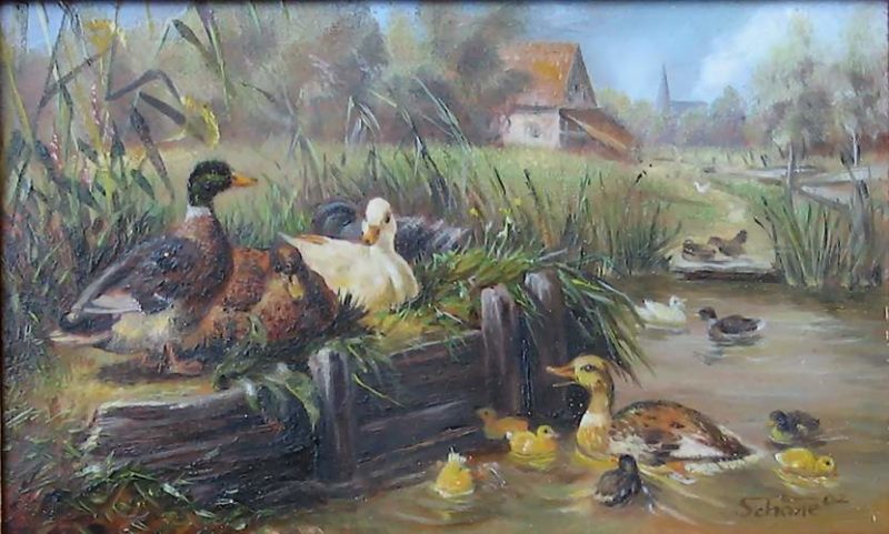 Enten am Weiher