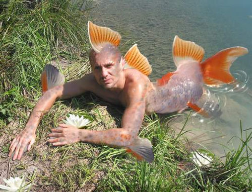 Ariol der Wassermann