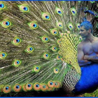 Fantasiebilder-digital: „Der Pfau“