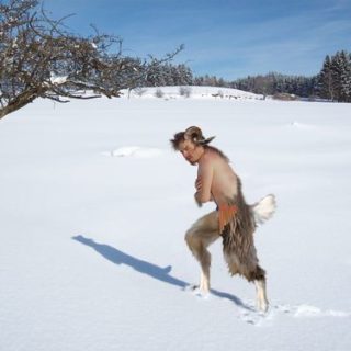 Ein Faun im Winter