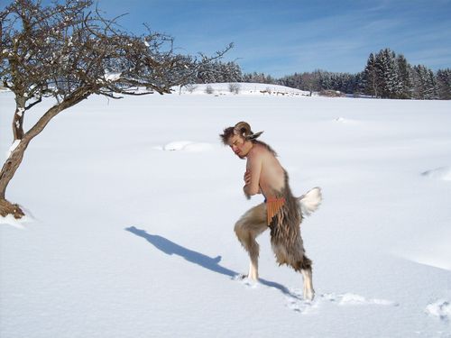 Ein Faun im Winter