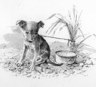 Hund_tusche