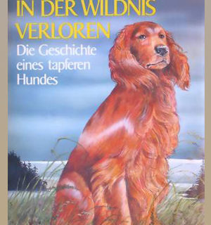 Buchillustrationen: In der Wildnis