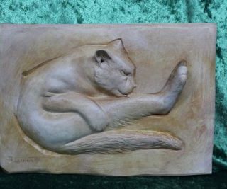 Katzenwäsche