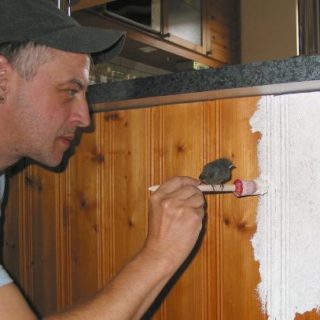 Pinselchen auf dem Pinsel