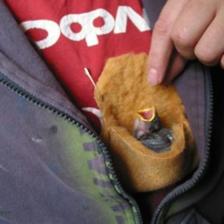 Pinselchen im Sack