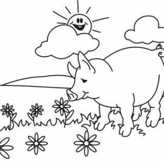 schwein zum ausmalen