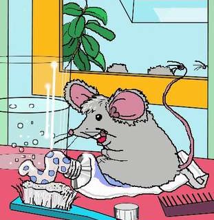 Maus beim baden