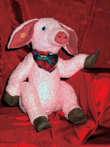 Schwein
