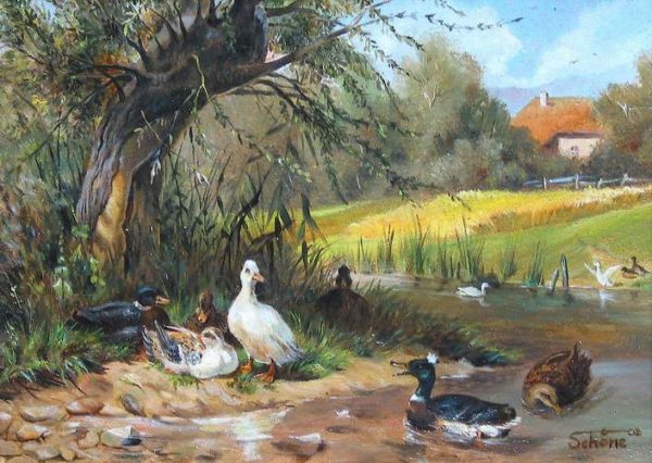 Enten am Weiher