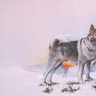 Wolfshund airbrush