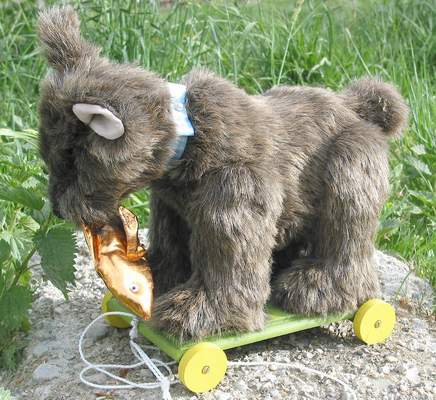 Bär auf Rädern