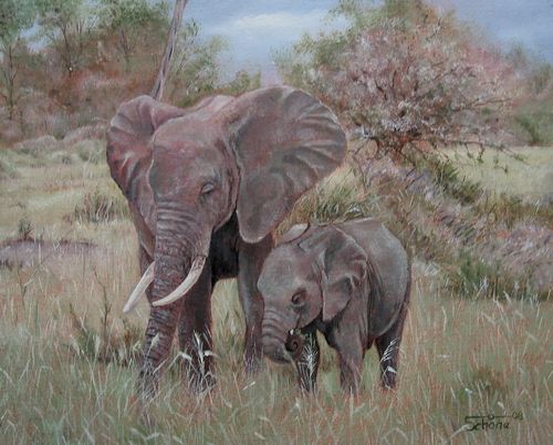 Elefantenkuh mit Junges
