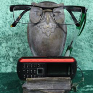 eule mit Büchern
