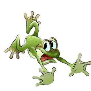 Tiere-digital: „Der Frosch“