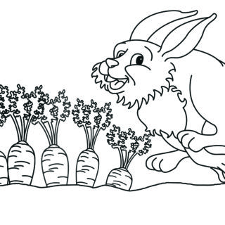 Tiere-digital: „Der Hase“