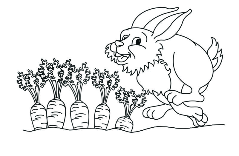 Strichzeichnung Hase