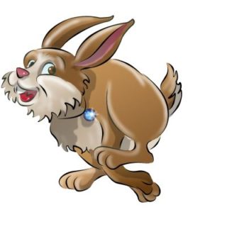 Tiere-digital: „Der Hase“