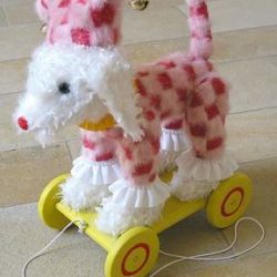 Hund auf Räder