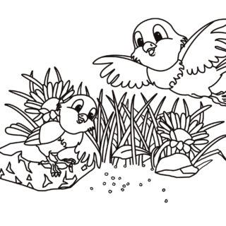 Tiere-digital: „Die Vögel“