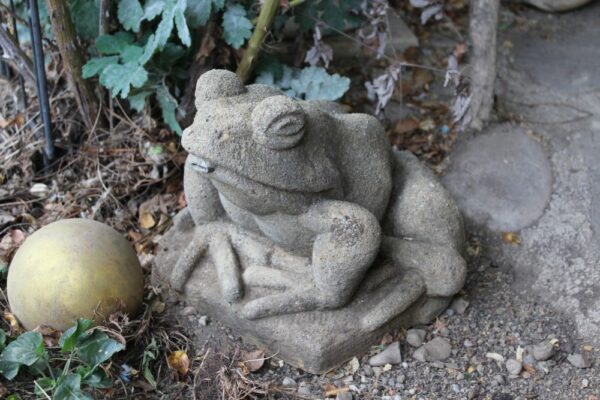Frosch